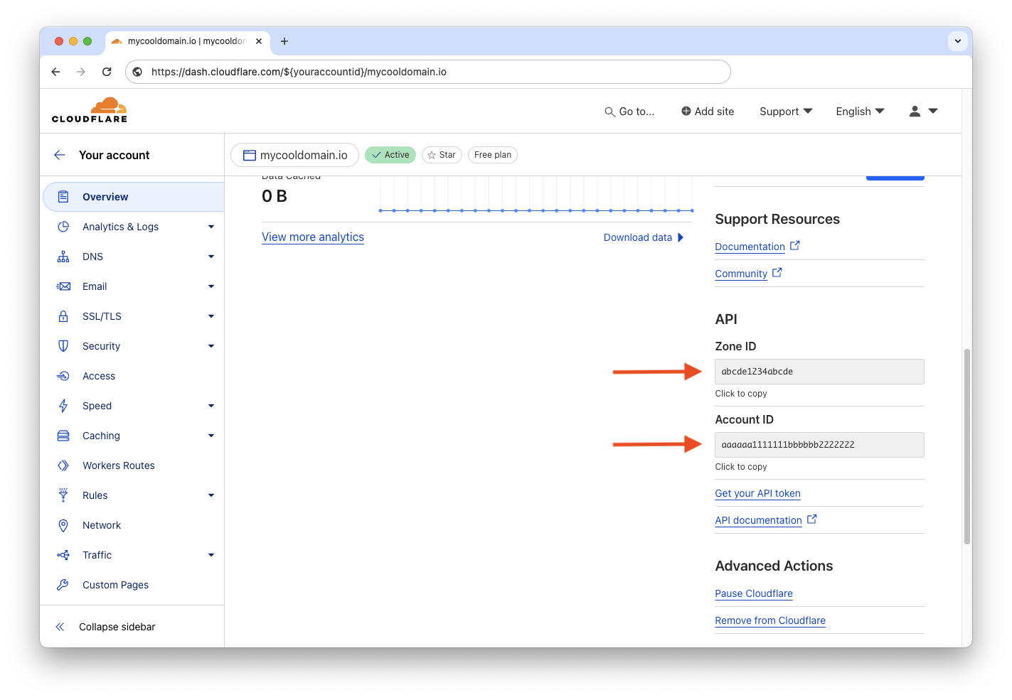 Domain’s page with Zone and Account IDs